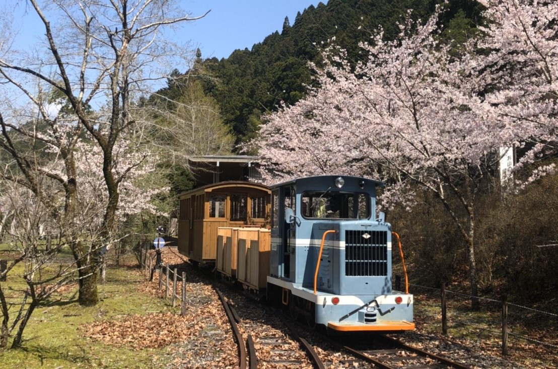 【馬路村】レトロなディーゼル機関車が走る、観光用の森林鉄道で働こう！【ワーキングホリデー】